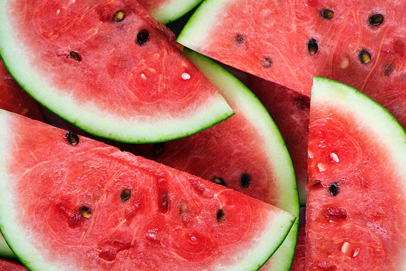 anti- ageing watermelon