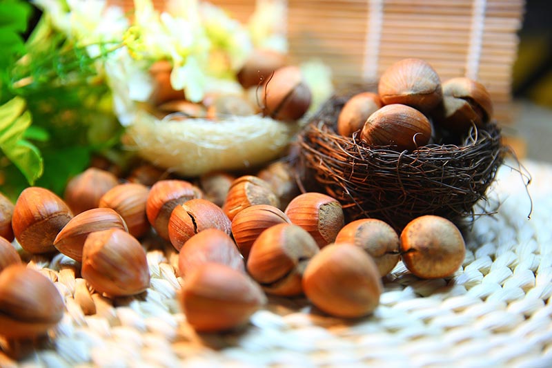 benefits of hazelnuts
