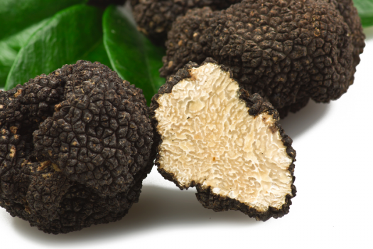 What Is Truffle? And How Does It Taste?