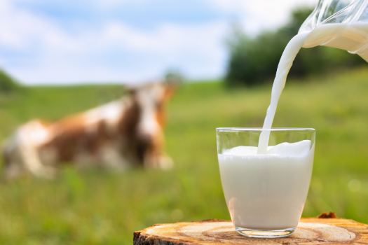How do different types of milk affect your body?