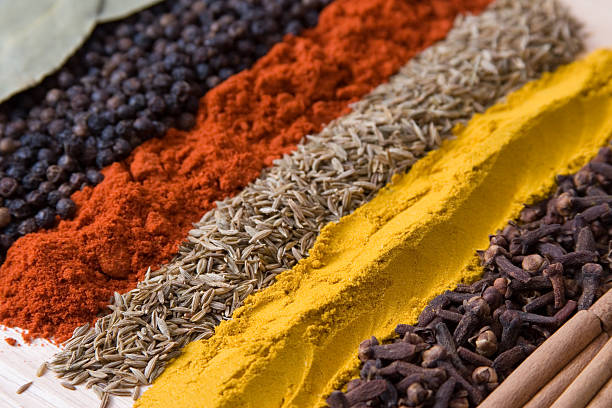 Spices in North Indian Cooking